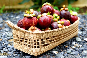 mangosteens in the Fruit Basket