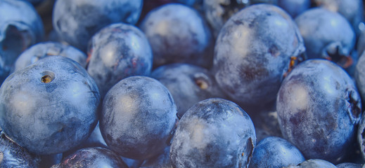 fresh blueberries macro, horizontal banner concept