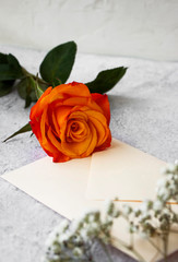 Delicate orange rose with a letter for Valentine's Day