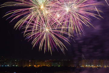 fireworks in the night sky