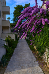 Port of Bobovisca in Croatia