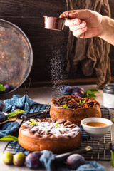 Großaufnahme der köstlichen süßen Frucht torte mit Pflaumen (zwetschgen )