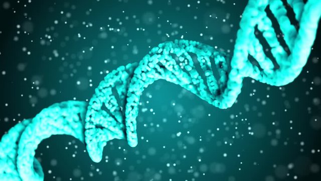 DNA code. Abstract 3d polygonal wireframe DNA molecule helix spiral. Loop animation.