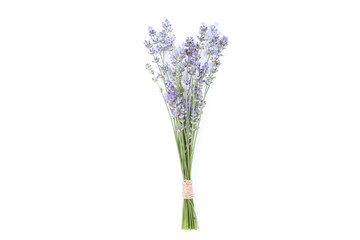 Lavender flowers isolated on white background