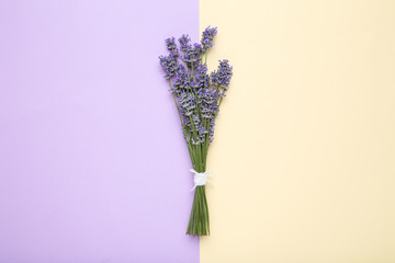 Lavender flowers on colorful background