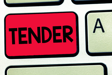 Word writing text Tender. Business concept for showing gentleness kindness and affection sensitive...