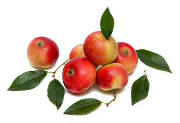 red apples six and fruit leaves isolated on white background