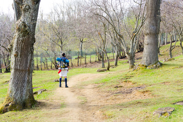 Obraz premium A backpacker hikes on the Way of the Gods in Italy between Florence and Bologna. An ancient roman road