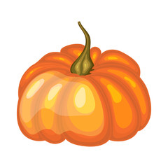 Orange Pumpkin