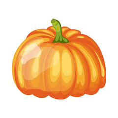 Orange Pumpkin