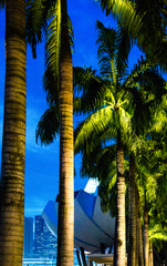 Fototapeta premium Views of the Marina Bay promenade in Singapore