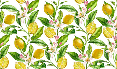 Lemon fruit seamless pattern watercolor tree branch with flowers realistic botanical floral surface design: whole half citrus leaves isolated artwork on white hand drawn for textile wallpaper