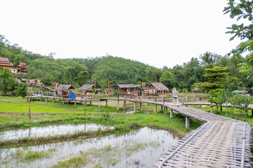Fototapeta na wymiar beautiful Bamboo bridge in rice field in Pai, Maehongson