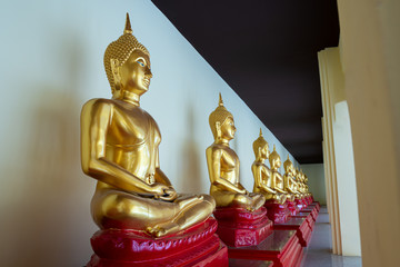 Row of golden buddha statue at Thai temple, THAILAND.
