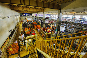 Carbonated drinks factory with view of production and bottles.