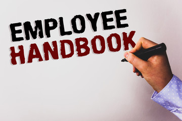 Word writing text Employee Handbook. Business concept for Document Manual Regulations Rules Guidebook Policy Code Text white background board hand black marker meeting teacher school work