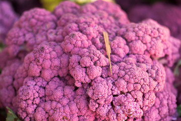 Purple Cauliflower Closeup