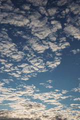 Cirrus cumulus clouds on a blue sky. Background blank texture.