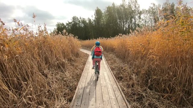 young woman ride bicycles on a wooden ecological trail among the reeds in Finland in the fall