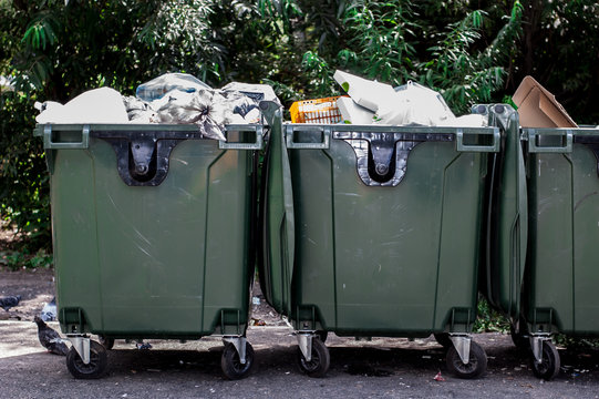 Garbage bins near green trees in a city on asphalt
