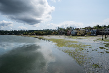 Shoreline with houses on Whidbey Island during low tide on the Puget Sound