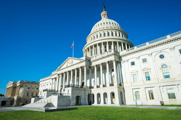 Obraz premium United States Capitol building Washington DC USA scenic view with summer green grass surrounding the entrance staircase under clear blue sky