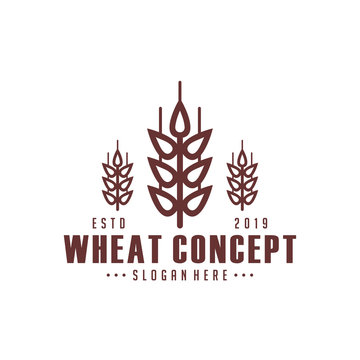 Modern Wheat logo vector template. Concept logo Wheat with many variants.