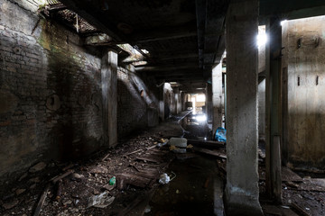 Urban exploration in an abandoned sugar mill