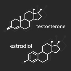 Testosterone and estradiol chemical formulas. Hormones.
