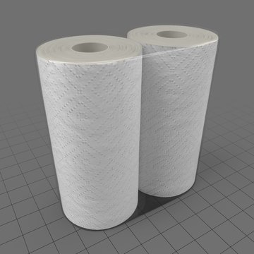 Paper towel rolls