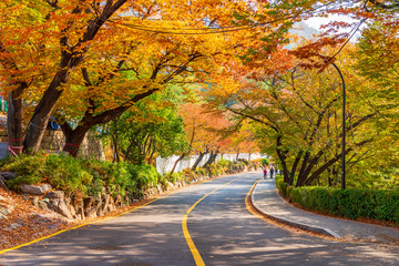 Autumn of Namsan Tower in Seoul,South Korea.
