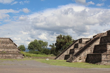 dead road full of life