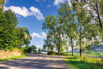 road uphill through forest. beautiful autumn scenery with trees in green foliage. amazing september weather with clouds on a blue sky in the afternoon. 