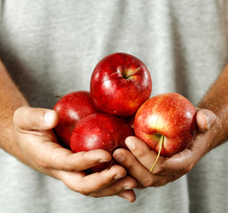 Red apples holding in hands. Autumn season.