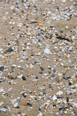 Broken shell and small pebbles with sand on beach make beauty in nature