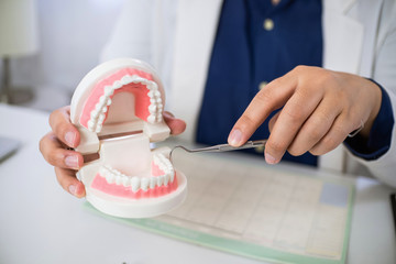medical dentist with teeth model in detail clinic.