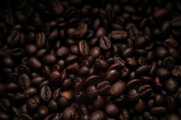 coffee beans on a dark background close-up
