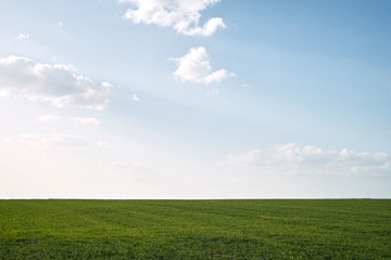 green field and blue sky with clouds