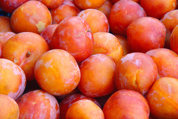 plums on display at the market