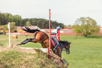 sorrel horse jumping down during eventing competition