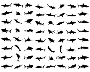 Black shark silhouettes on the white background, vector