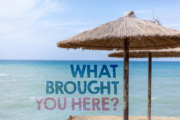 Word writing text What Brought You Here Question. Business concept for Ambition can be obtain by determination Blue beach water Thatched Straw Umbrellas Message Ideas Thoughts Reflection