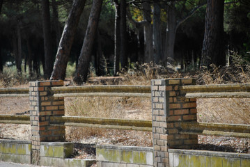 Green areas in Puerto de Santa Maria in Andalusia in Spain