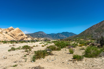 Fototapeta na wymiar Valley in the Cajon Pass at Mormon Rocks area along the San Andreas Fault in the San Bernardino National Forest, California.