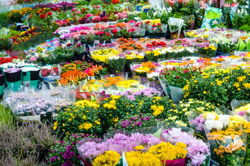 flower market. local florist shop at the street