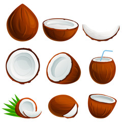 Coconut icons set. Cartoon set of coconut vector icons for web design