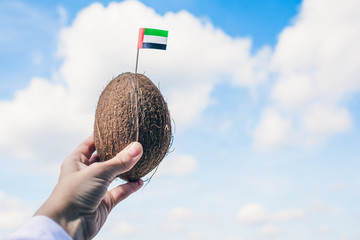 Tropical coconut with United Arab Emirates flag in the form of a toothpick in female hands. Tourism...