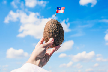 Tropical coconut with Malaysian flag in the form of a toothpick in female hands. Travel concept. Tourism in Malaysia.