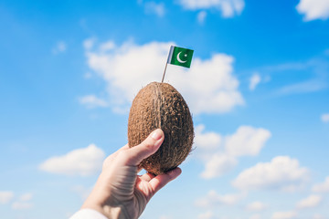 Tropical coconut with Pakistan flag in the form of a toothpick in female hands.  concept
