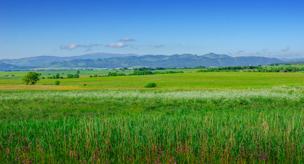 Obraz premium Tatra Mountains, Slovakia. Scenic landscape of a mountain range on a summer day.